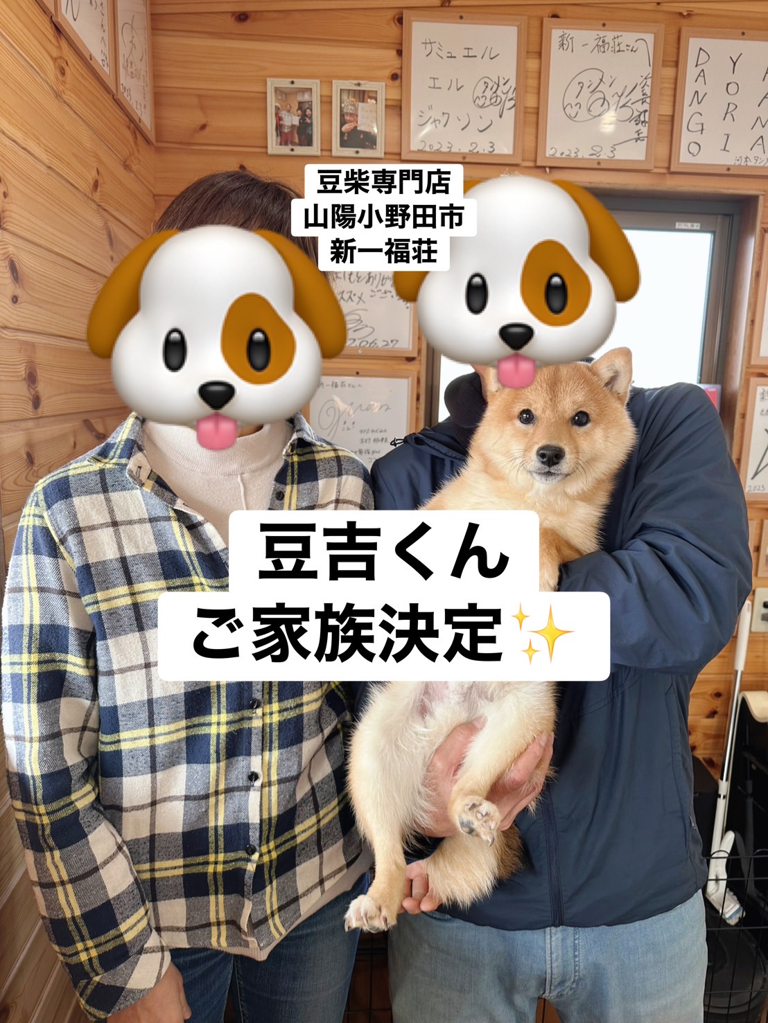 子犬情報(ご家族決定)2026年1月19日現在② – 山口県 豆柴専門店 ～ 新